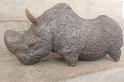 Nosorożec (grafit)